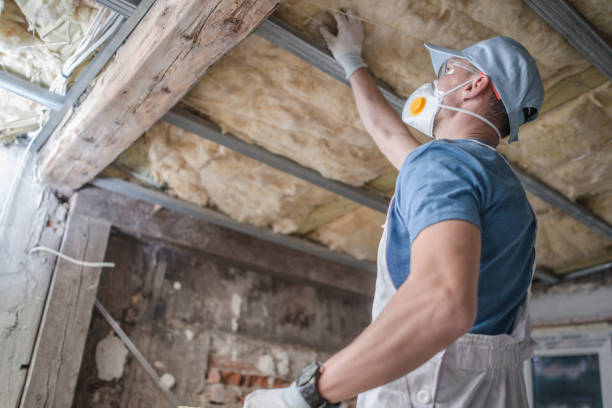 Best Blown-in Insulation in Taylor, MI
