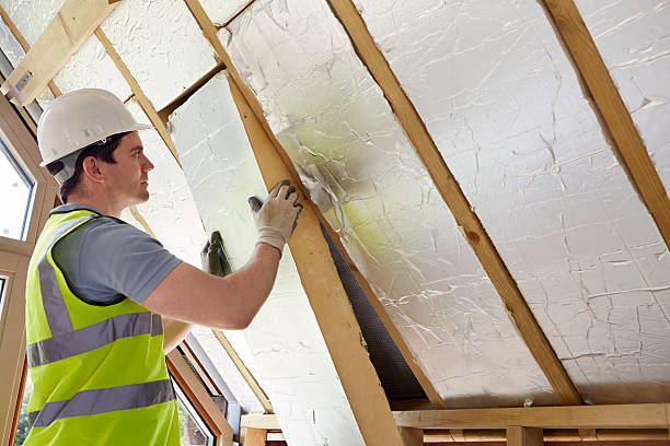 Best Specialized Insulation Services in Taylor, MI