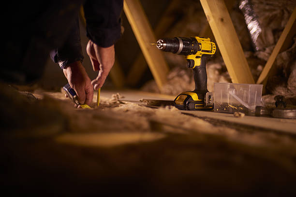 Best Insulation Maintenance and Repair in Taylor, MI